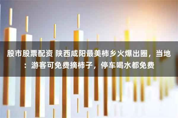 股市股票配资 陕西咸阳最美柿乡火爆出圈,当地:游客可免费摘柿子,停车喝水都免费